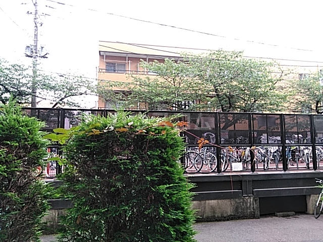 16/29 その他画像