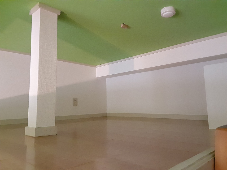 17/29 その他画像