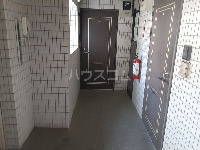 5/17 その他画像