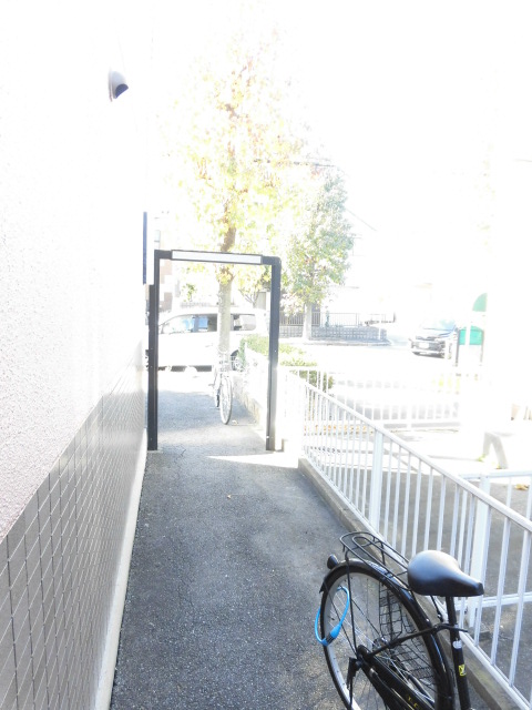 17/29 その他画像