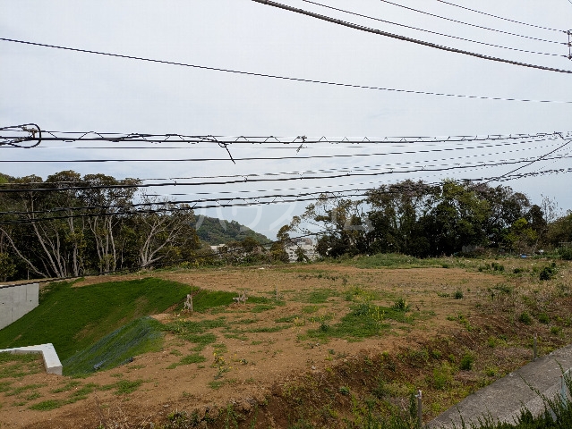 16/29 その他画像