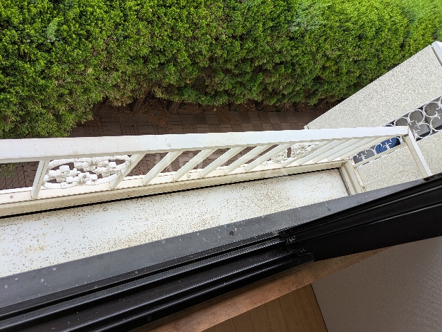 24/29 その他画像