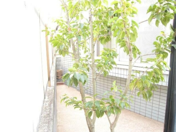 10/11 その他画像