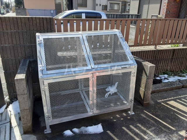 20/30 その他画像