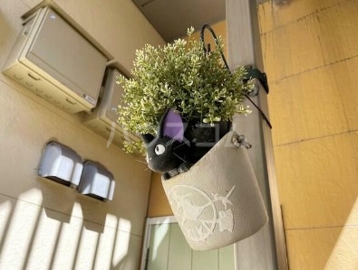 11/23 その他画像