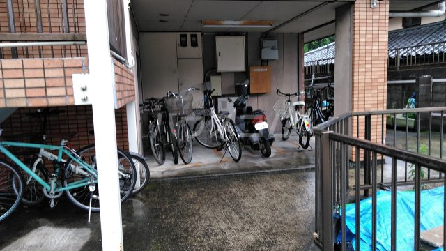 その他共有