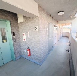 5/15 その他画像