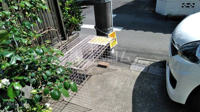 29/30 エントランス