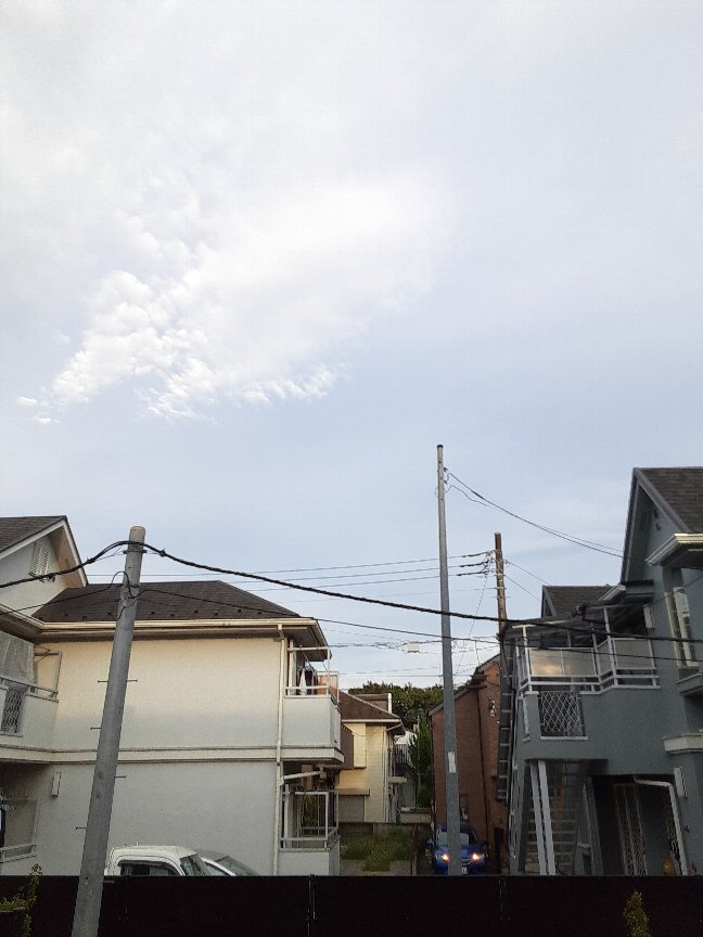 15/24 その他画像