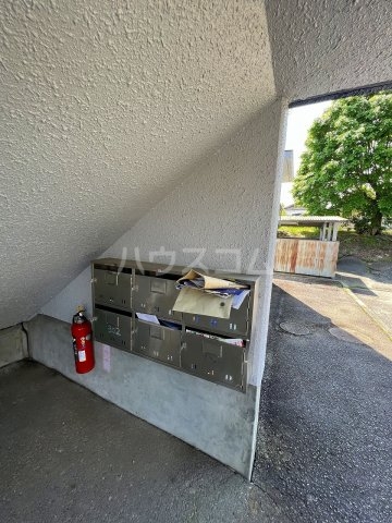 17/25 その他画像