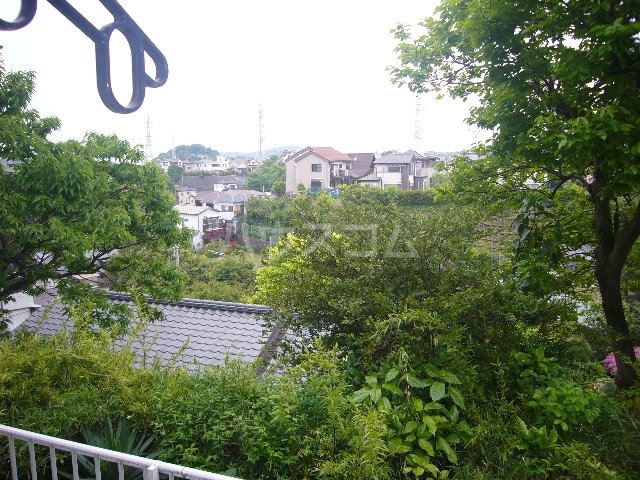 14/17 その他画像