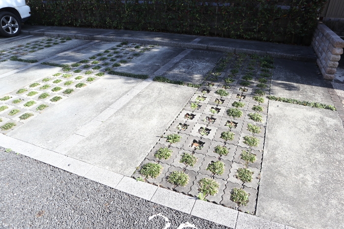 8/18 その他画像