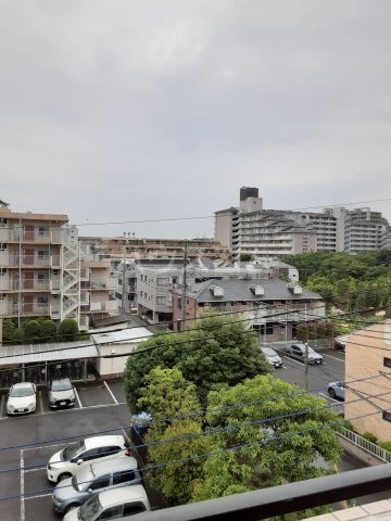 20/30 その他画像