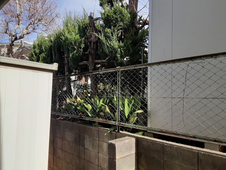 17/28 その他画像