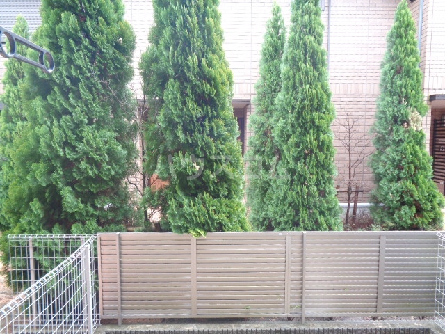 29/30 その他画像