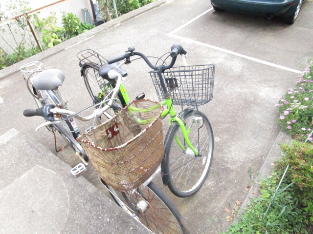 14/17 その他画像