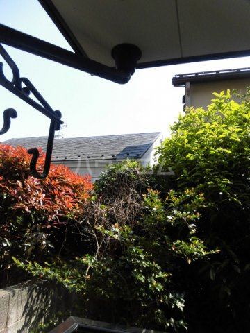 17/29 その他画像