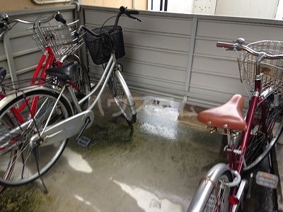 20/30 その他画像