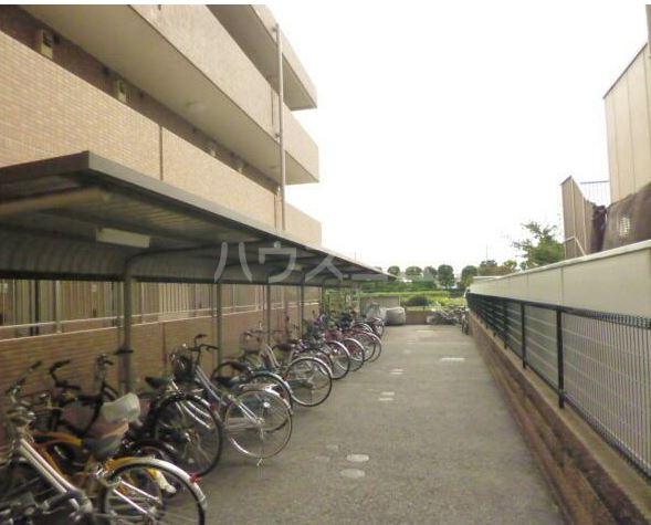 11/15 その他画像