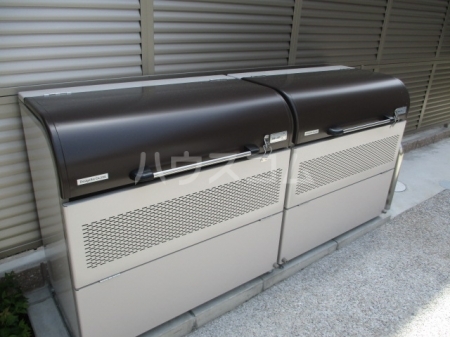 11/25 その他画像