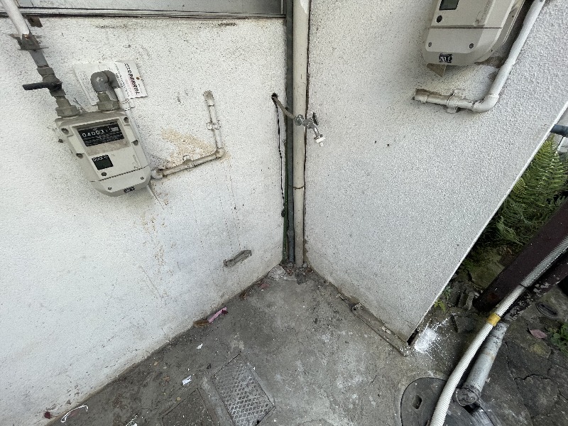 17/29 その他画像