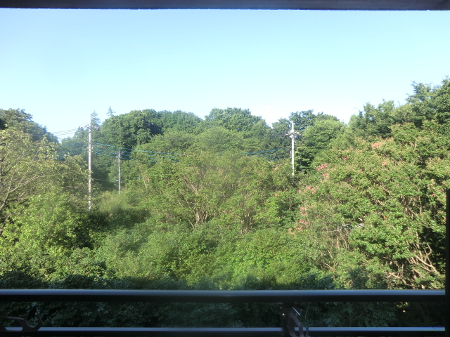 17/27 その他画像