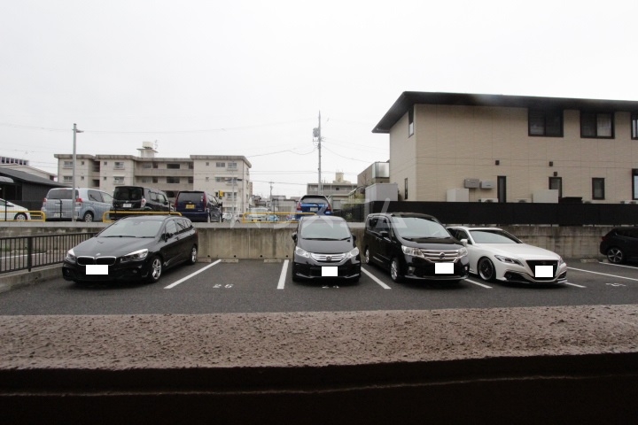 20/30 その他画像