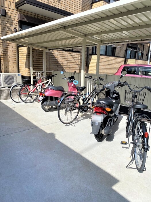 15/29 その他画像