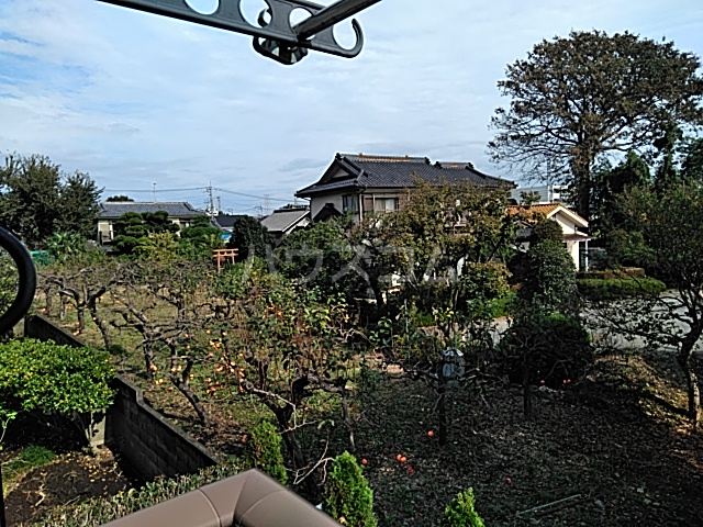20/30 その他画像
