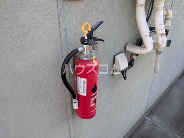 29/30 その他画像