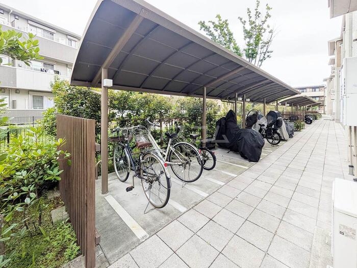 3/15 その他画像