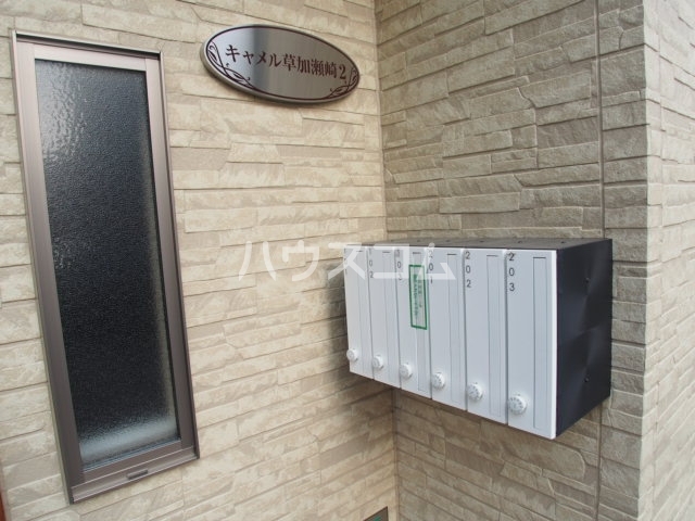 8/18 その他画像