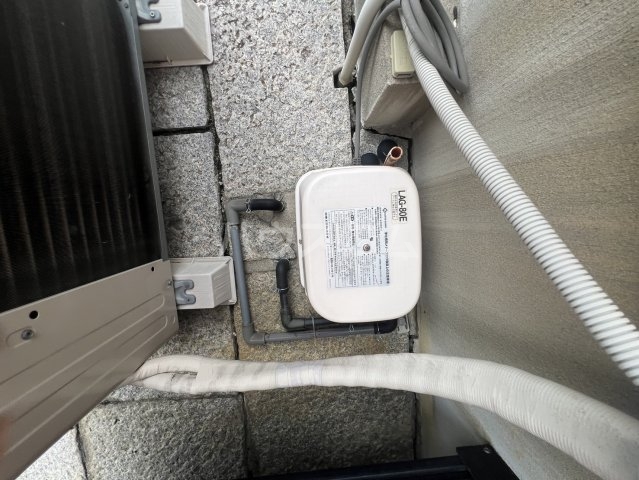 17/20 その他画像