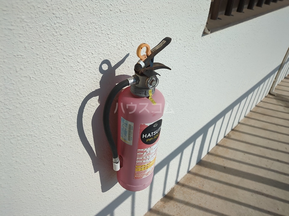 29/30 その他画像