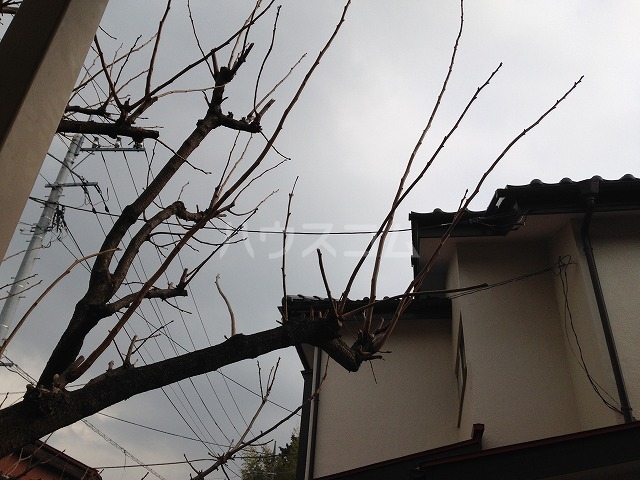 15/24 その他画像