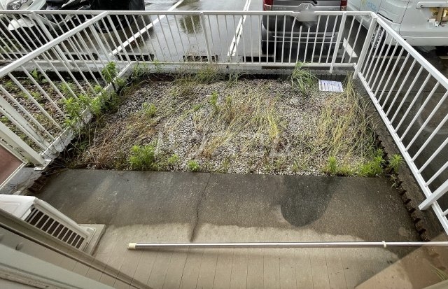 19/23 その他画像