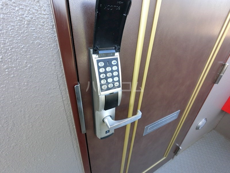 25/30 その他画像