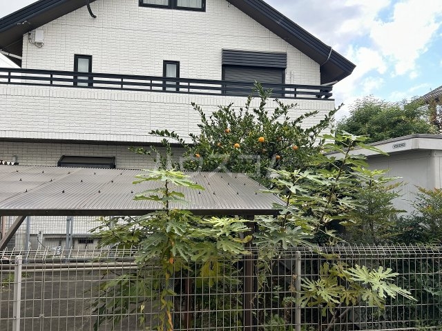 20/28 その他画像