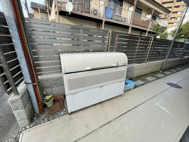 20/30 その他画像