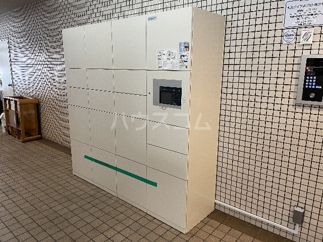 20/30 その他画像