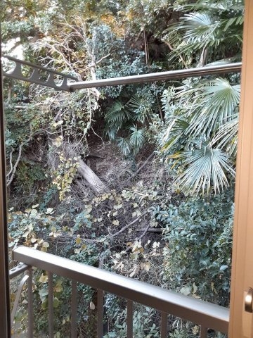 15/30 その他画像