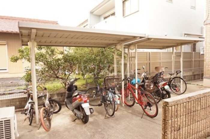 20/30 その他画像