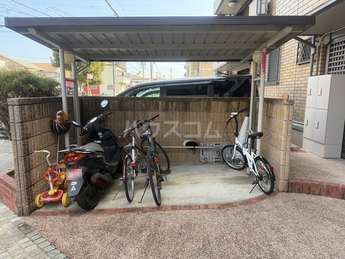 8/17 その他画像