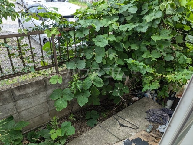 20/29 その他画像