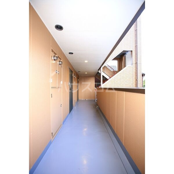 11/29 その他画像