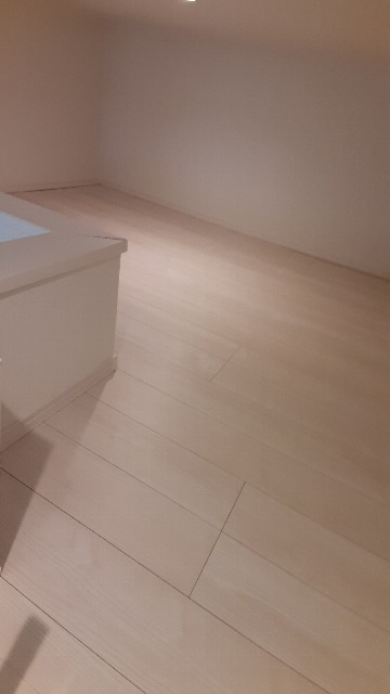 21/29 その他画像