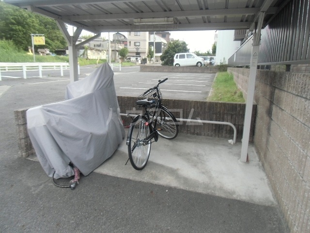 17/29 その他画像