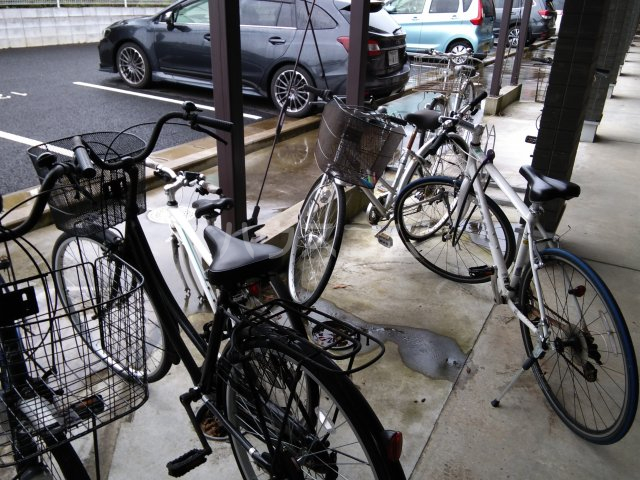 16/30 その他画像