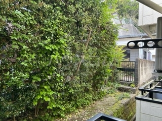 16/30 その他画像