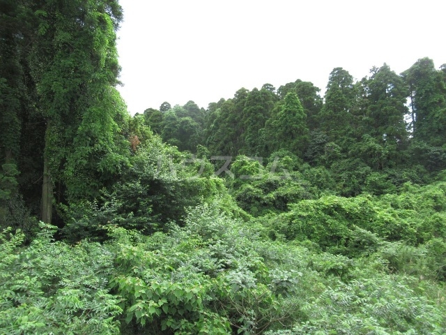 20/24 その他画像